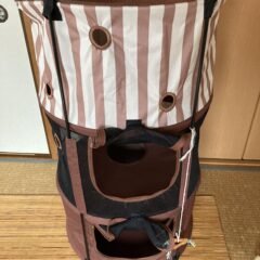 猫を連れて避難できるか？