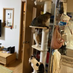 全員集合 その2