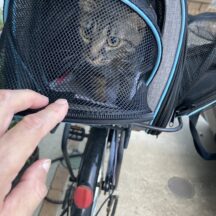 家での過ごし方