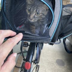 家での過ごし方